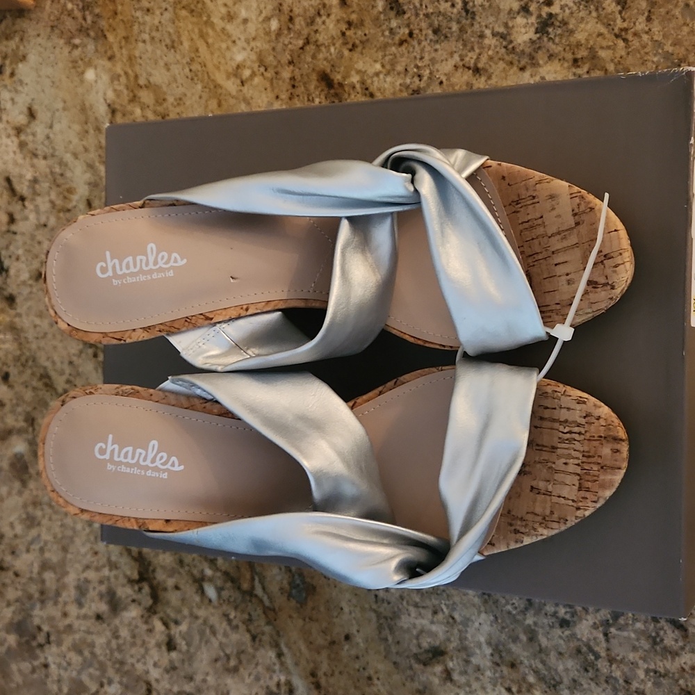 Charles David  Silver Designer Strappy Wedges.  NEW! Platform Heels.